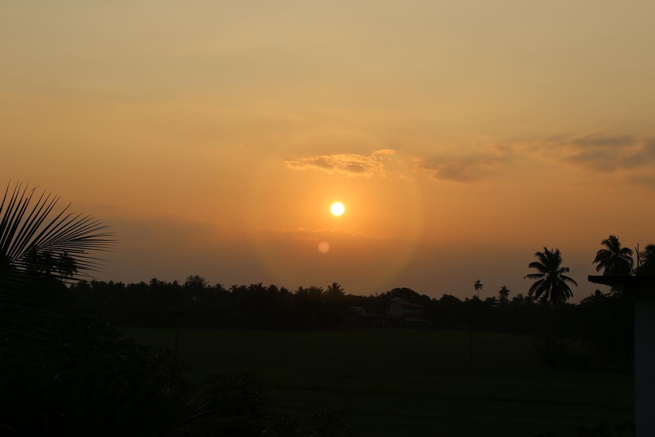 New Vilard Tissamaharama Bagian luar foto
