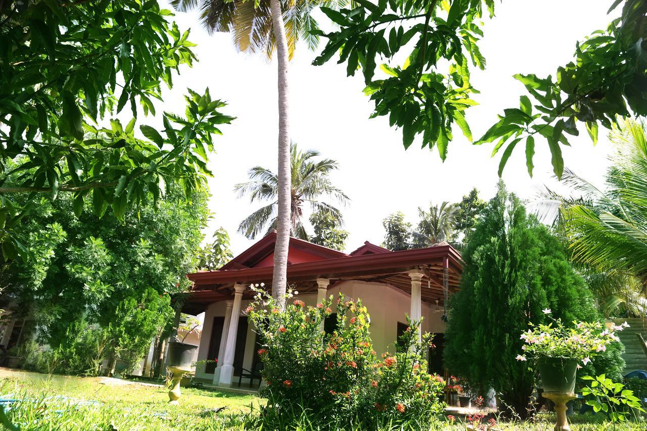 New Vilard Tissamaharama Bagian luar foto